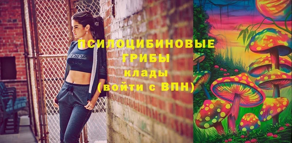 индика Наволоки