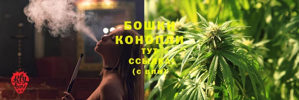 индика Наволоки