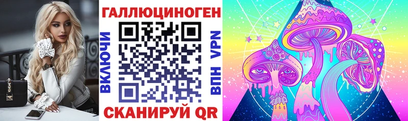 Псилоцибиновые грибы Psilocybine cubensis  Купить закладки  Змеиногорск 